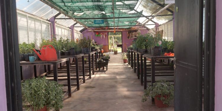 Desde Gobierno dicen que la Eco Granja estaba deplorable…¿pero esto es así?