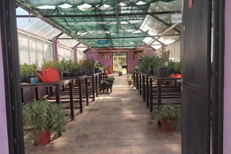 Desde Gobierno dicen que la Eco Granja estaba deplorable…¿pero esto es así?