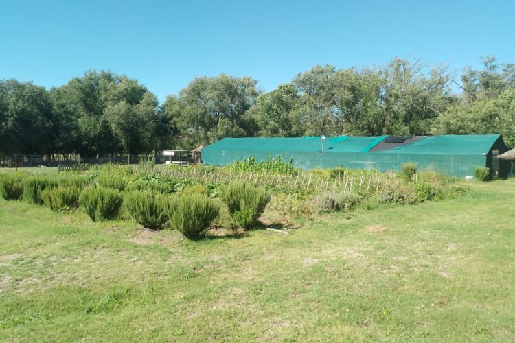 Desde Gobierno dicen que la Eco Granja estaba deplorable…¿pero esto es así?