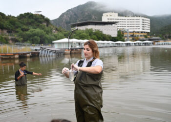 Aseguran que la mortandad de peces en el dique Potrero de los Funes es por causas naturales