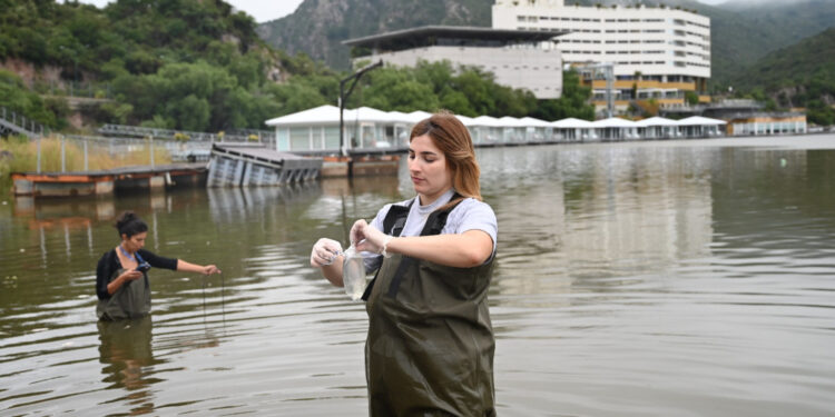 Aseguran que la mortandad de peces en el dique Potrero de los Funes es por causas naturales