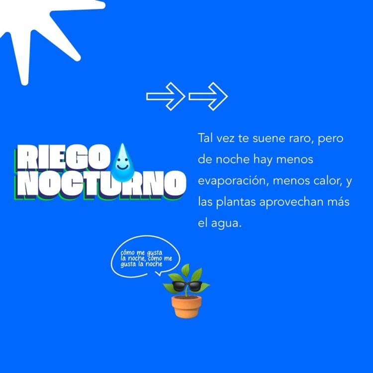 Recomendaciones en el cuidado del agua