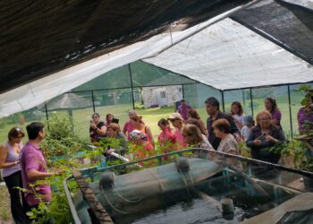 Adulto mayores recorren la Granja Productiva de Cruz de Piedra