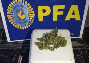 Detuvieron un individuo por llevar marihuana en su vehículo.