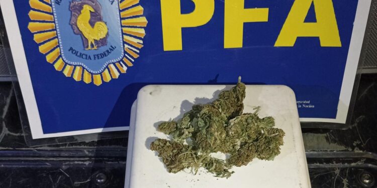 Detuvieron un individuo por llevar marihuana en su vehículo.
