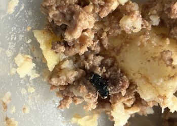 Esc. nº 7 Ing. Ave Lallemant: Una vianda de alimento tenía un moscardón