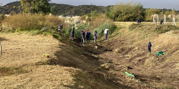 Realizan trabajos de mantenimiento en el Ecoparque Cruz de Piedra