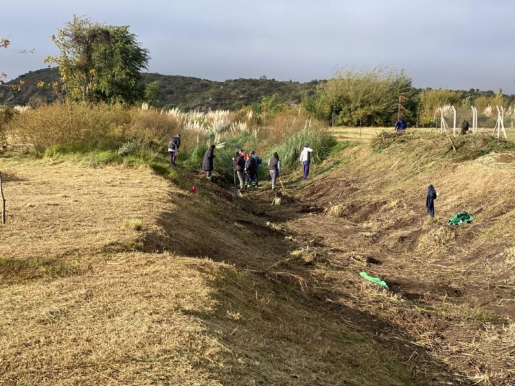 Realizan trabajos de mantenimiento en el Ecoparque Cruz de Piedra