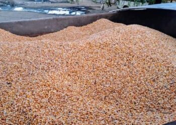 Donovan: recuperaron 5 toneladas de maíz robadas de un establecimiento agropecuario