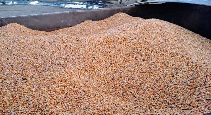 Donovan: recuperaron 5 toneladas de maíz robadas de un establecimiento agropecuario