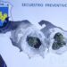 Un hombre fue demorado con marihuana en su poder