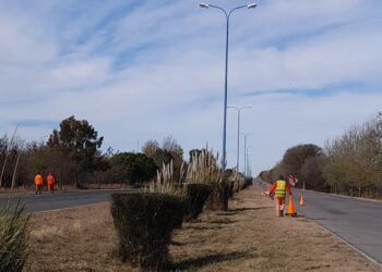 El Ente Control de Rutas hará poda correctiva en la autopista de las Serranías Puntanas