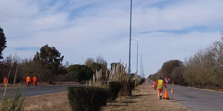 El Ente Control de Rutas hará poda correctiva en la autopista de las Serranías Puntanas