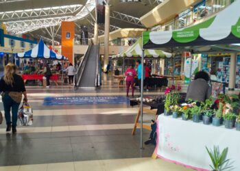 Vuelve la Expo Emprendedores a la EDIRO