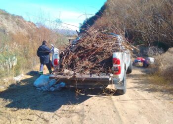 Desmalezaron y removieron residuos en el peridique de Cruz de Piedra