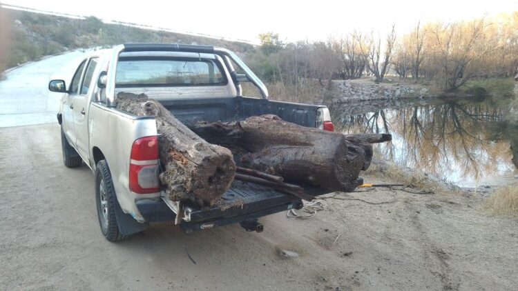 Desmalezaron y removieron residuos en el peridique de Cruz de Piedra