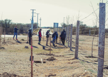 Con más de 40 árboles plantados, ‘La Metropolitana’ se rodea de verde