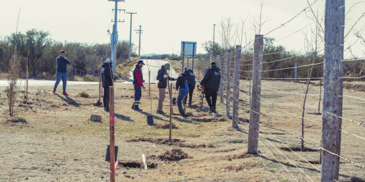 Con más de 40 árboles plantados, ‘La Metropolitana’ se rodea de verde