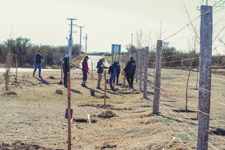 Con más de 40 árboles plantados, ‘La Metropolitana’ se rodea de verde