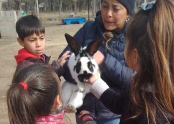 La granja productiva de Cruz de Piedra continúa recibiendo contingentes
