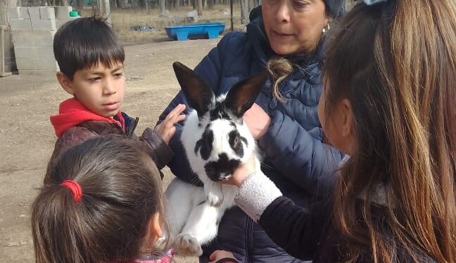 La granja productiva de Cruz de Piedra continúa recibiendo contingentes