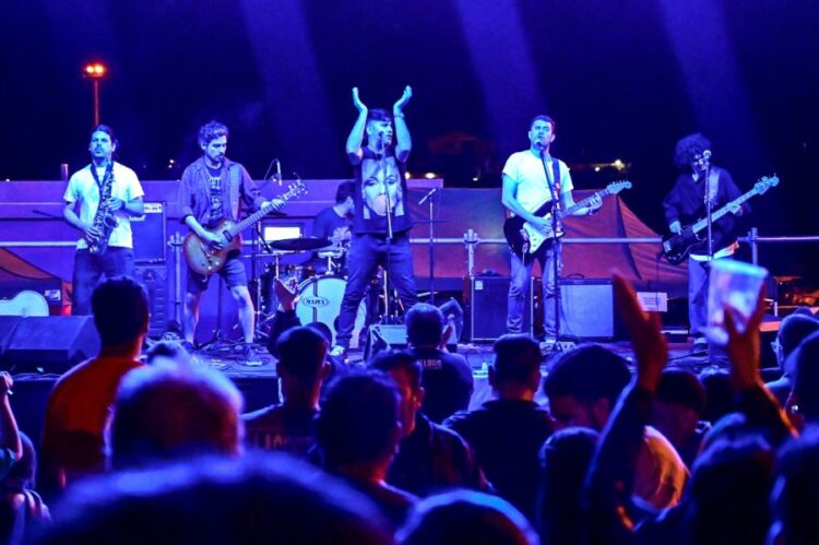 Más de 15 mil personas disfrutaron de la Fiesta de la Cerveza Artesanal