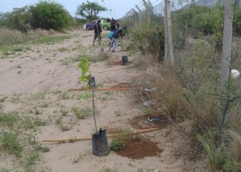 Forestaron los laterales de la planta recicladora de Donovan