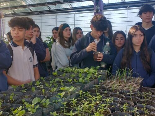 El Instituto María Auxiliadora participó de una jornada educativa en la Granja Cruz de Piedra