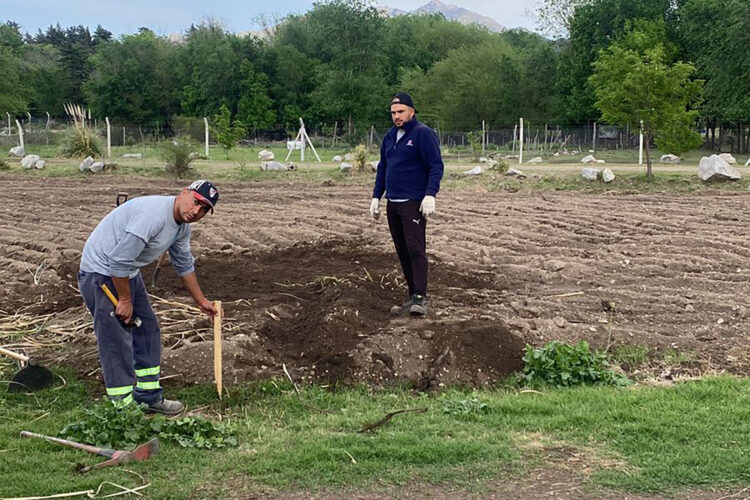 El Ecoparque de Cruz de Piedra produjo unas 2.000 estacas de álamos y sauces