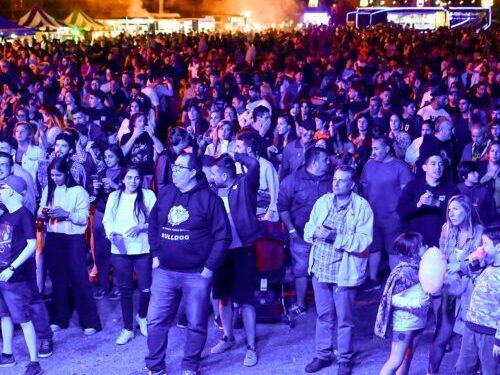 Más de 15 mil personas disfrutaron de la Fiesta de la Cerveza Artesanal