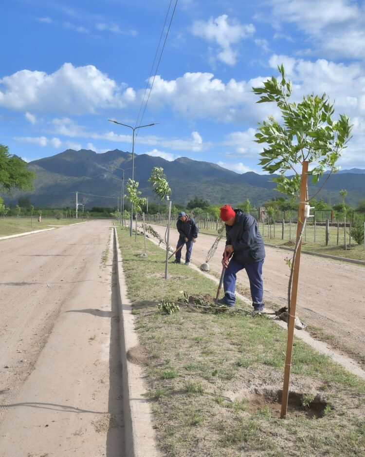 El Plan de Forestación sigue avanzando en Juana Koslay