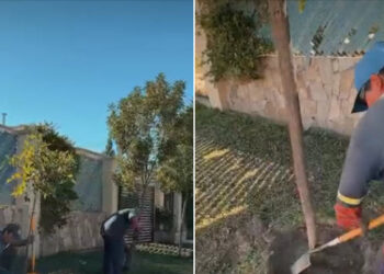 Juana Juana Koslay cada vez más verde