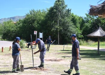 San Luis Agua forestó el dique de Potrero de los Funes