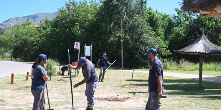 San Luis Agua forestó el dique de Potrero de los Funes