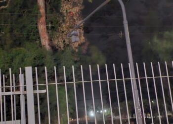 Ramas cortaron cables del tendido eléctrico