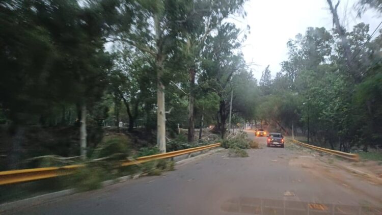 Temporal provoca destrozos en Juana Koslay y alrededores