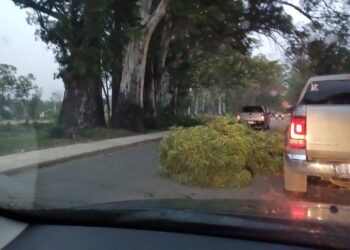 Temporal provoca destrozos en Juana Koslay y alrededores