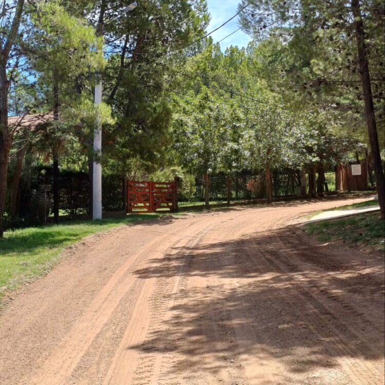 “Primero está Potrero, después la política”.