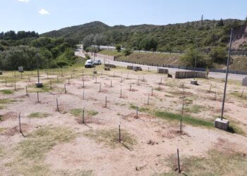 Potrero de los Funes: Reforestaron con 300 especies