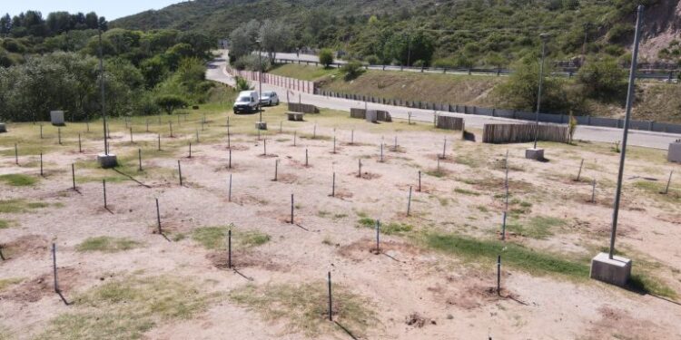Potrero de los Funes: Reforestaron con 300 especies