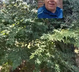 El intendente de Juana Koslay pidió a los vecinos el uso responsable del agua