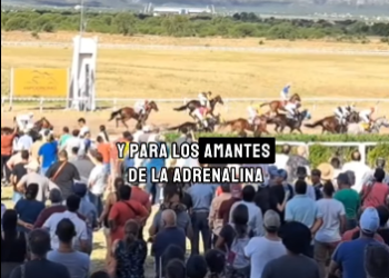 ¡𝙇𝙡𝙚𝙜𝙖 𝙡𝙖 𝙘𝙖𝙧𝙧𝙚𝙧𝙖 𝙢𝙖́𝙨 𝙞𝙢𝙥𝙤𝙧𝙩𝙖𝙣𝙩𝙚 𝙙𝙚𝙡 𝙖𝙣̃𝙤!