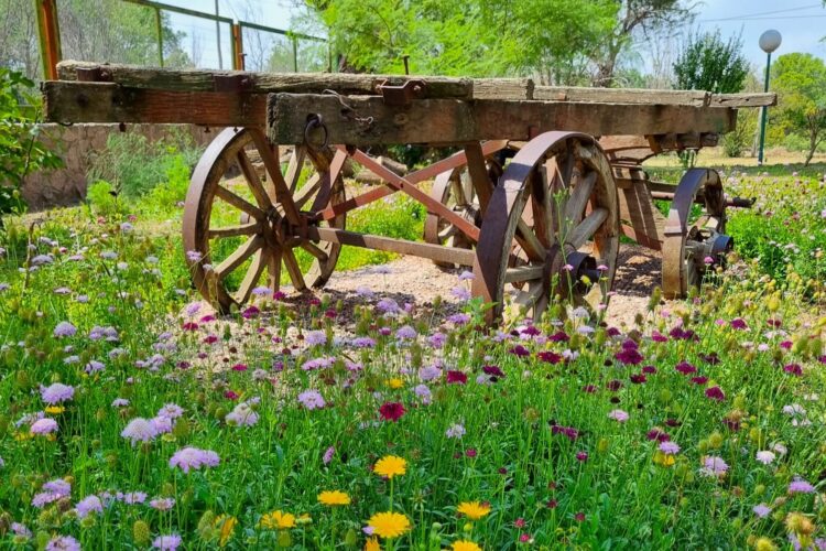 El Monumento al Pueblo Puntano de la Independencia embellece sus espacios