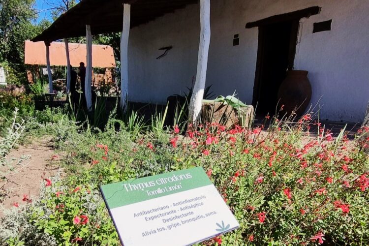 El Monumento al Pueblo Puntano de la Independencia embellece sus espacios