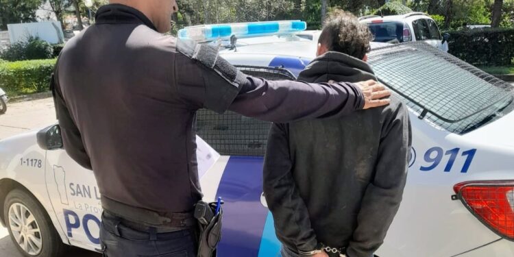 La Policía demoró a un sujeto por violencia de género