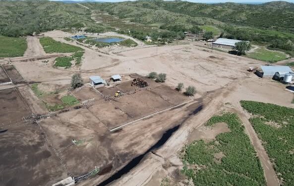 El feedlot ‘La Nely’ llevó a cabo tareas de saneamiento en su pasivo ambiental