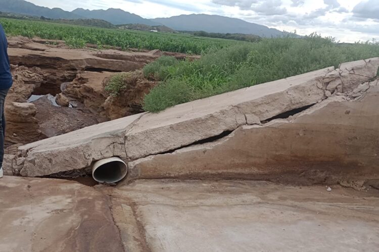 El feedlot ‘La Nely’ llevó a cabo tareas de saneamiento en su pasivo ambiental