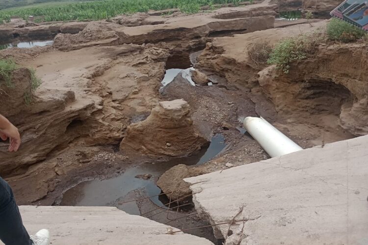 El feedlot ‘La Nely’ llevó a cabo tareas de saneamiento en su pasivo ambiental