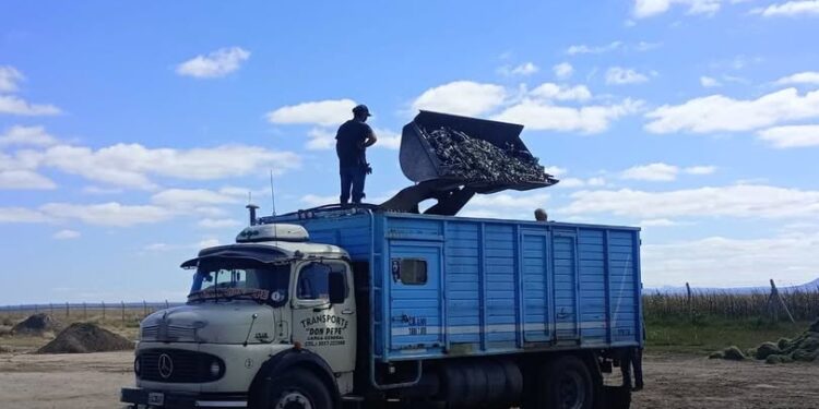 Las plantas de Donovan y La Toma recuperaron más de 27 toneladas de vidrio
