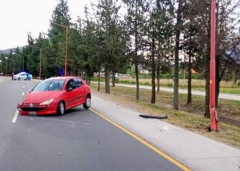 Alumnos de la Escuela Técnica Agraria presentaron un innovador proyecto de acuaponía